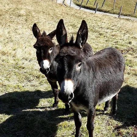 Familienpension Gletscherblick